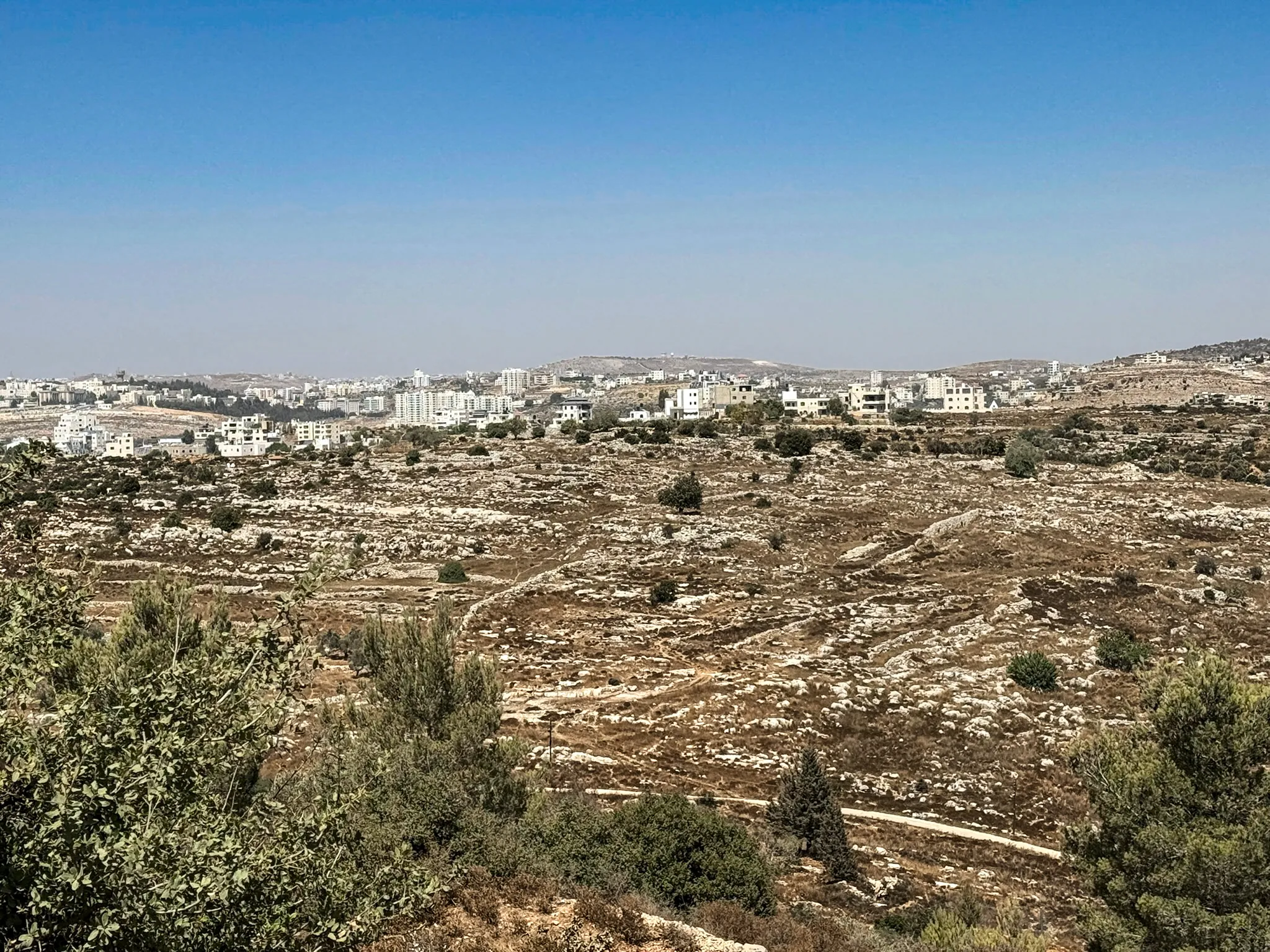 A hillside town above terraced, scrub-covered ground in the Judean hills